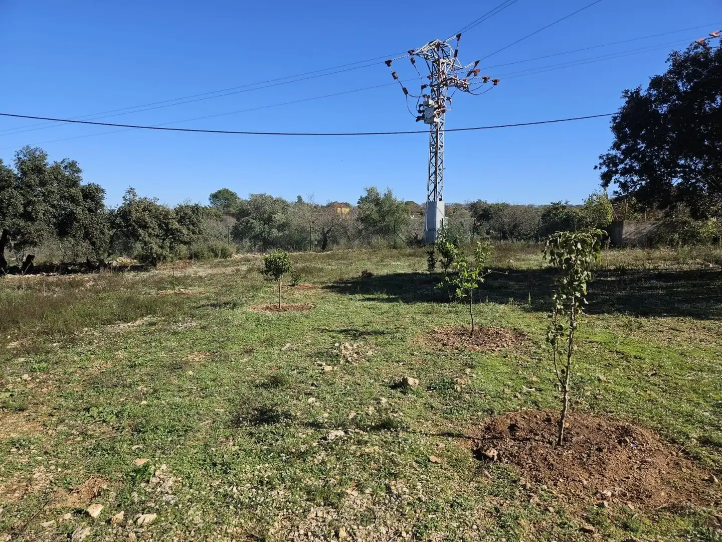 Terreny rústic en venda a Polígono ULLASTRE, imagen 10