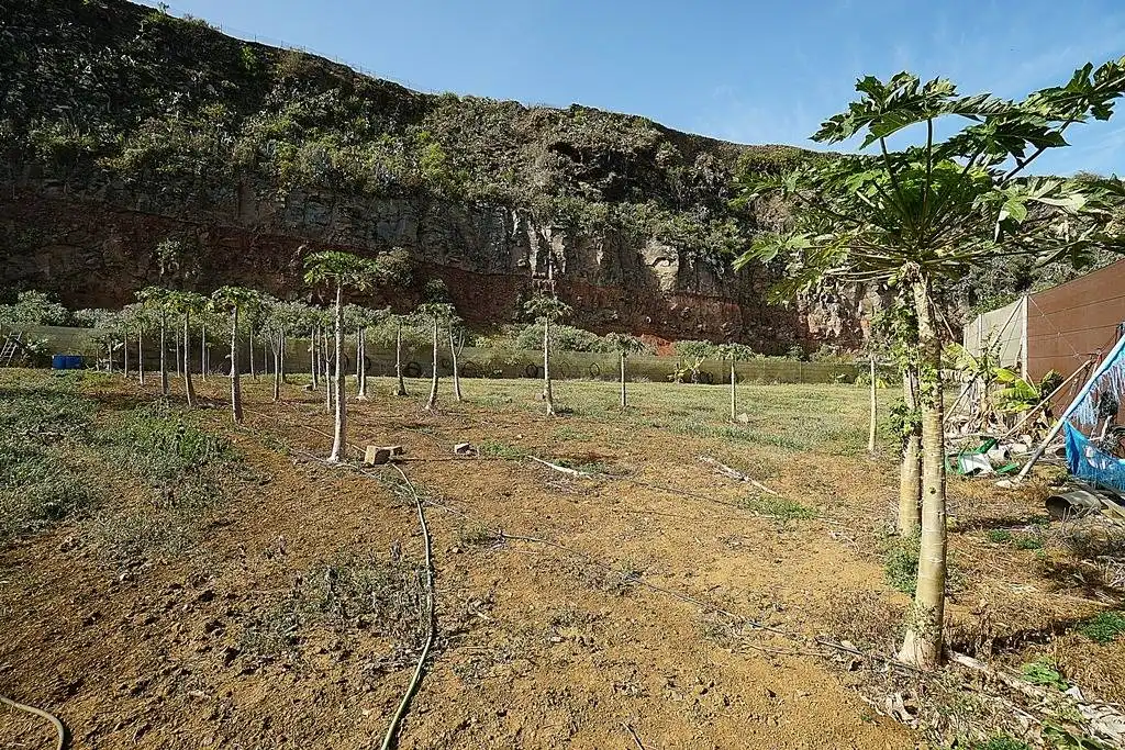 Finca rústica en venta en Camino DEHESA, 10, Santa María de Guía de Gran Canaria
