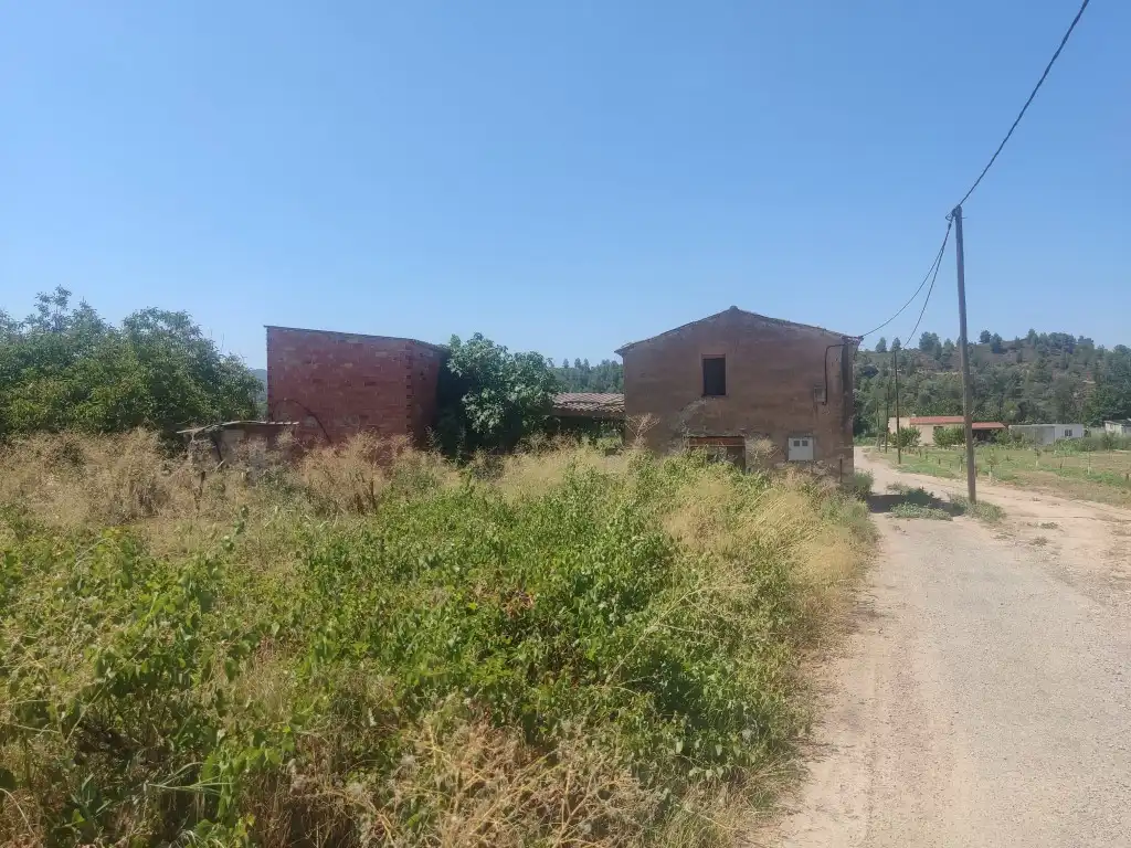 Rural land for sale in Ascó, imagen 13