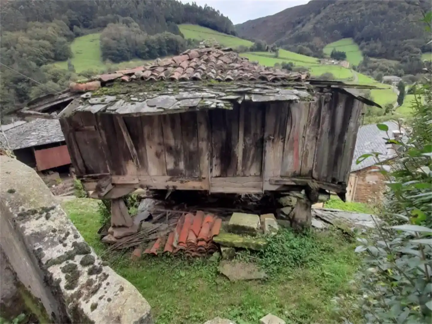 Vista exterior de Finca rústica en venda en Valdés - Luarca