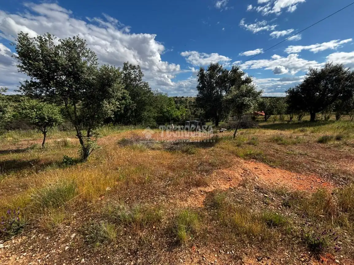 Finca rústica en venta en Carretera de Sevilla - Los Montitos