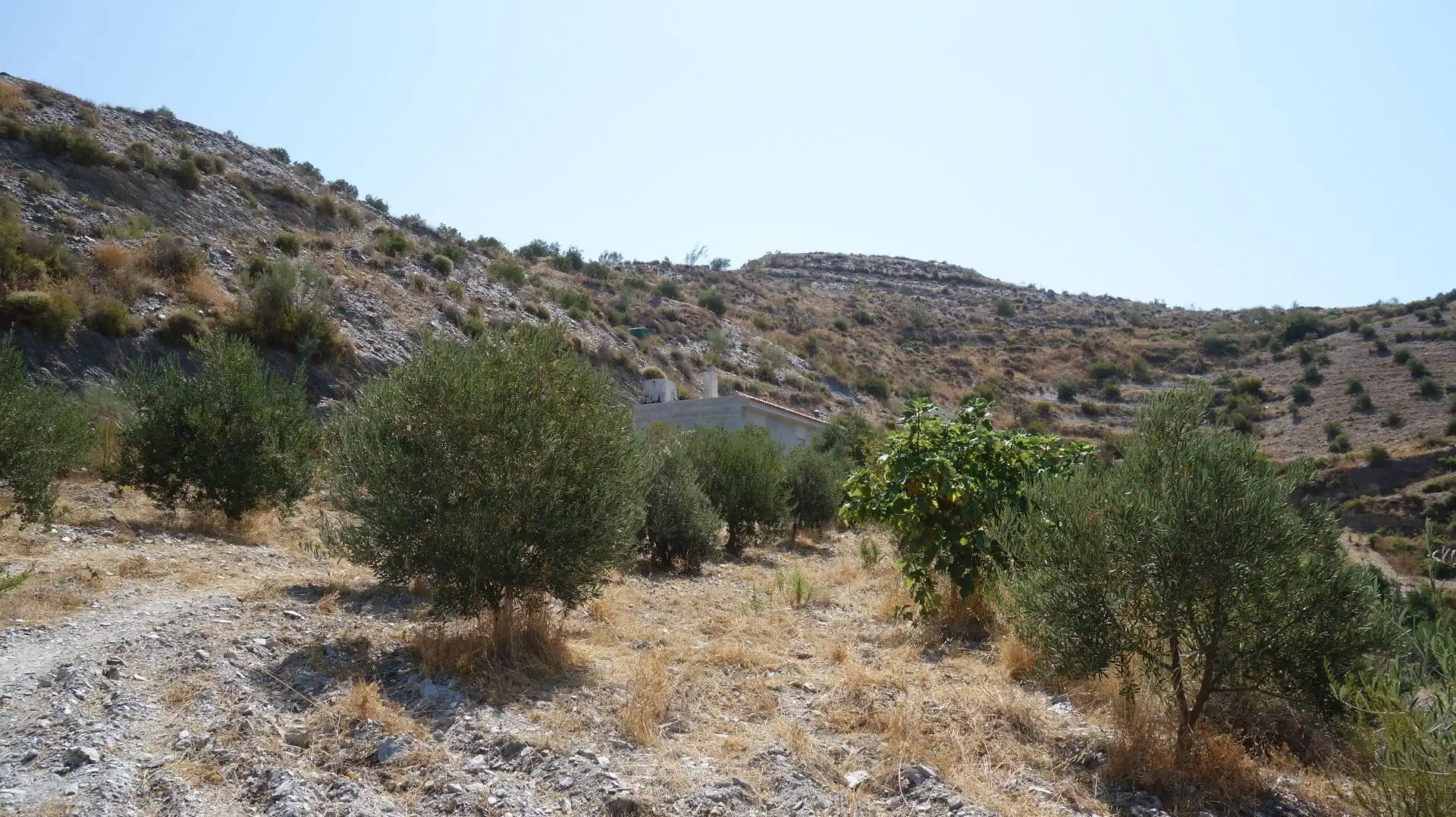 Finca rústica en venda en Motril amb Terrassa i Moblat