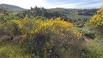 Jardí de Terreny en venda en Víznar