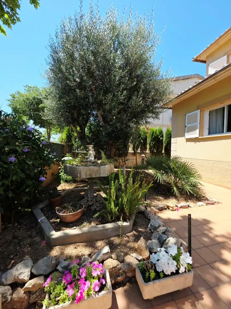 Jardín de Casa o chalet en venta en  Palma de Mallorca con Aire acondicionado, Calefacción y Jardín privado