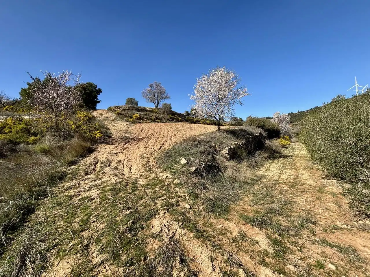Terreno en venta en Solivella