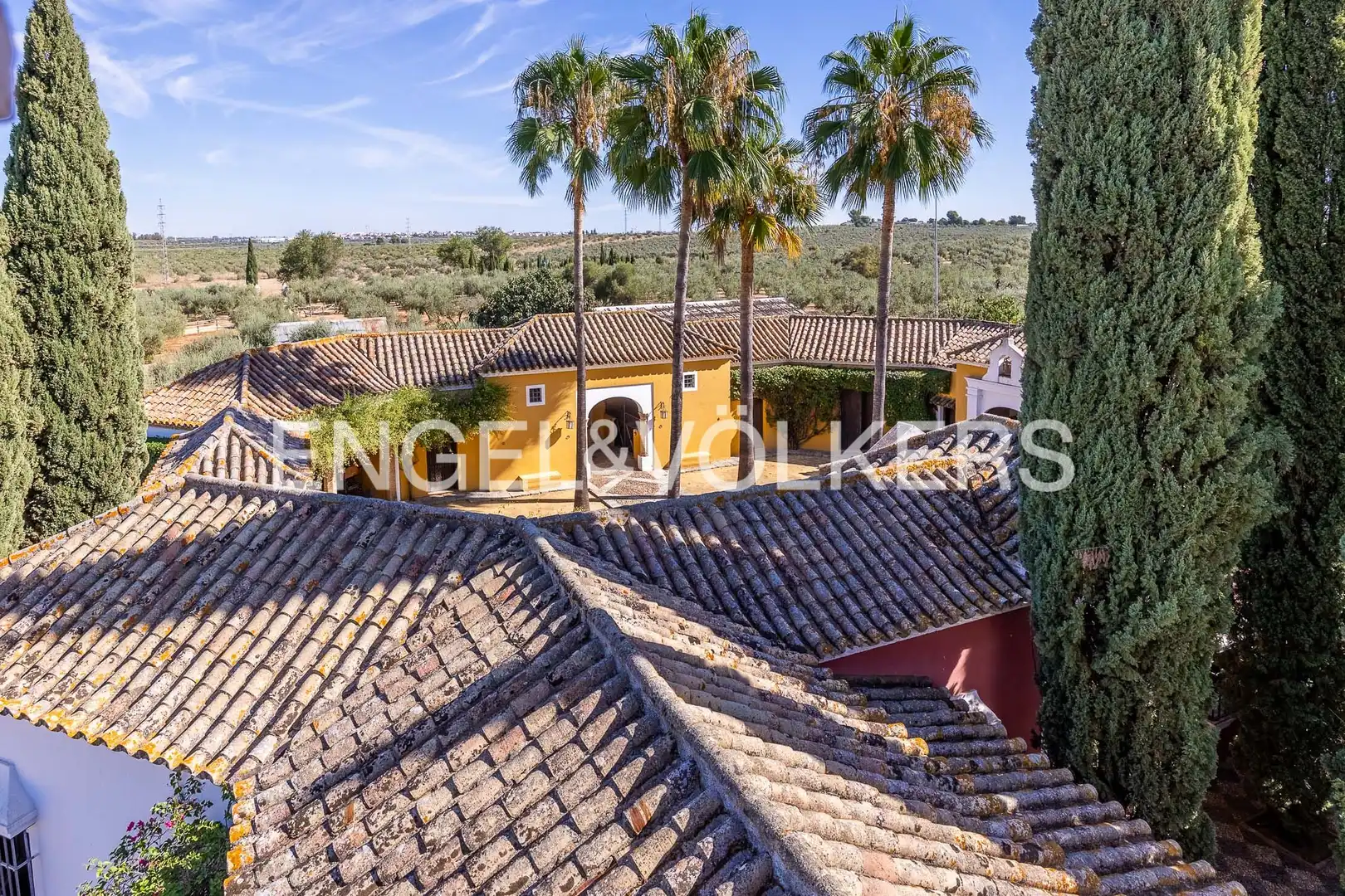Casa rústica con jardín en venta en Casco Antiguo, imagen 50