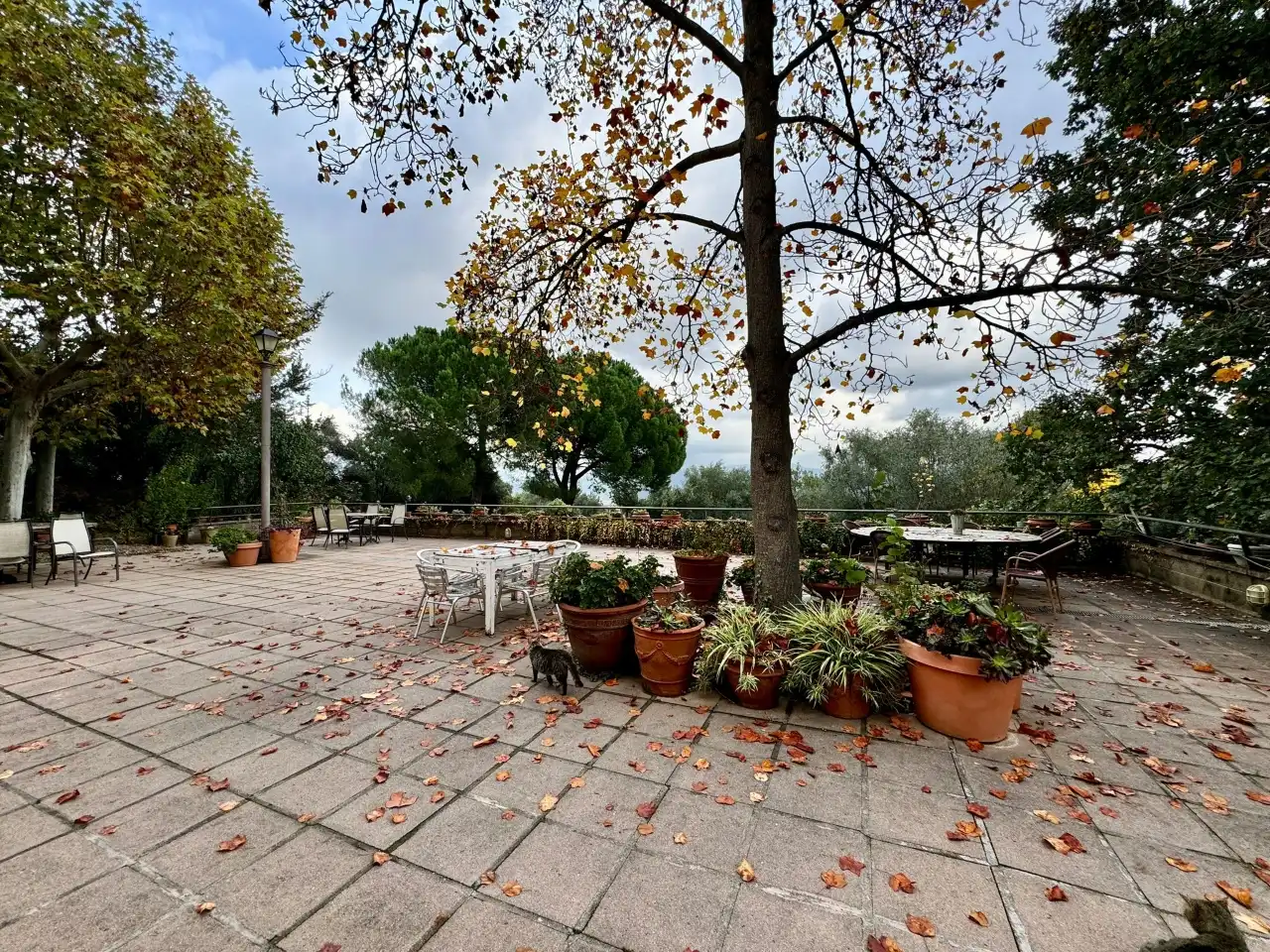 Terrace of Country homes for sale in Anglès  with Private garden, Terrace and Swimming Pool