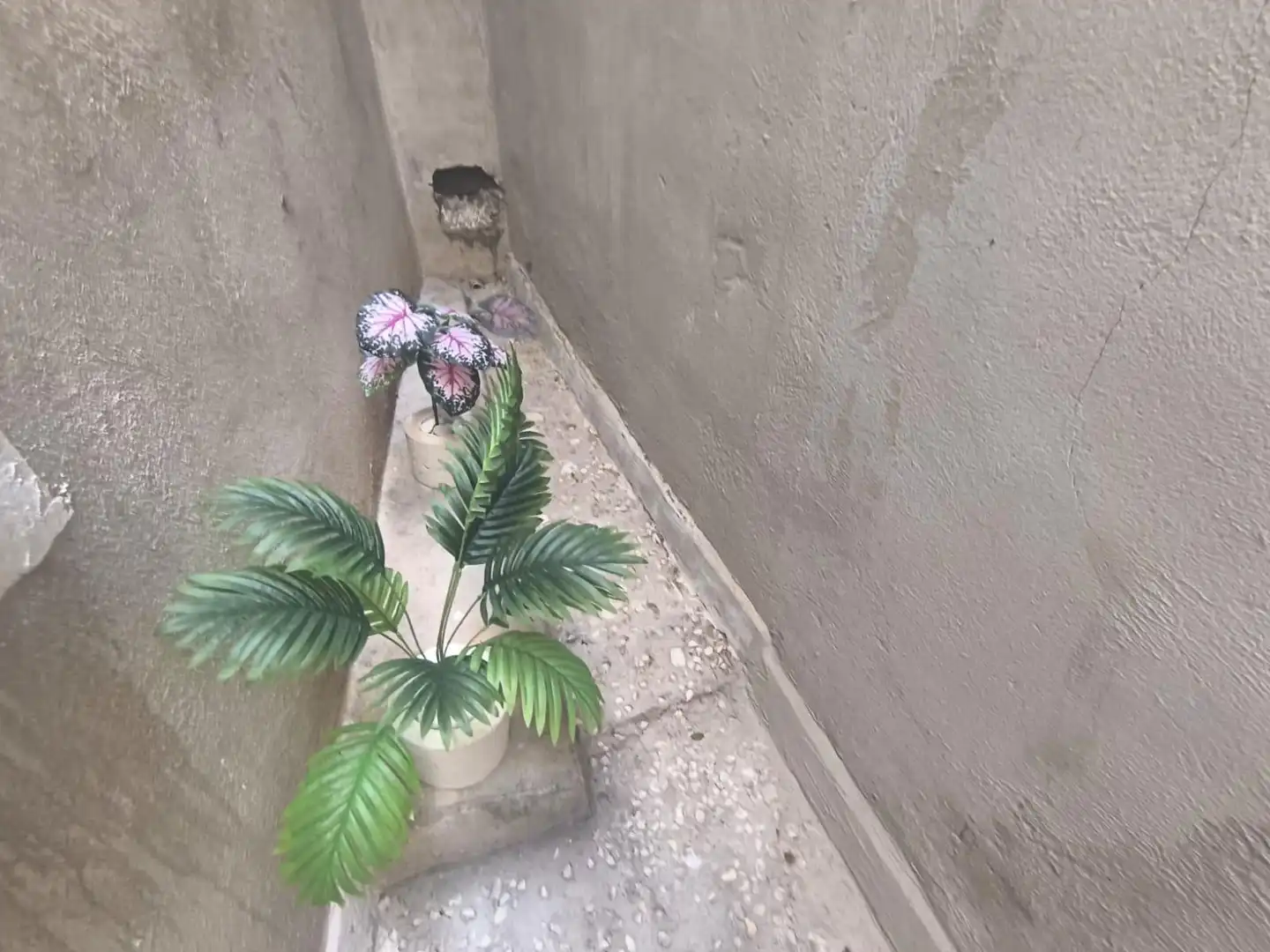 Terraza de Piso en venta en Manresa con Aire acondicionado, Calefacción y Terraza