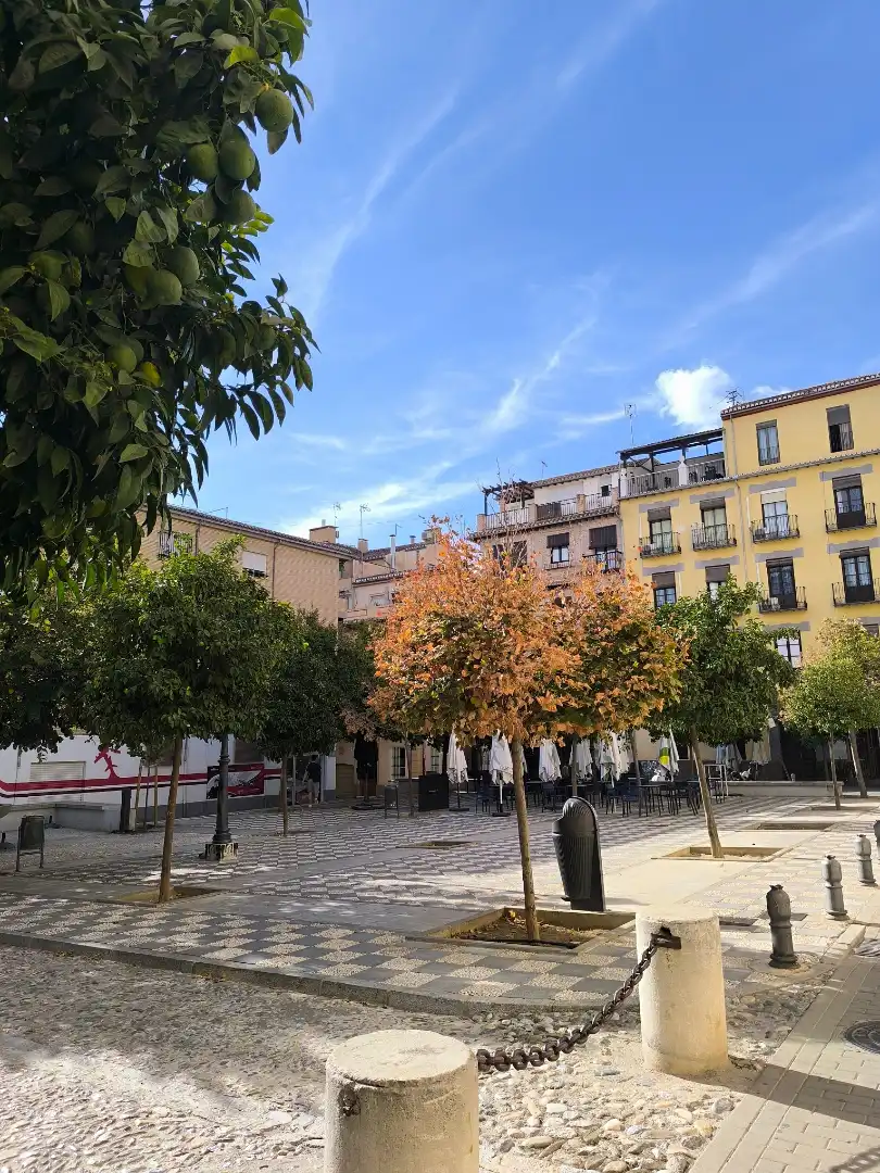 Exterior view of Apartments for rent in Granada  with Air Conditioner, Heating and Furnished