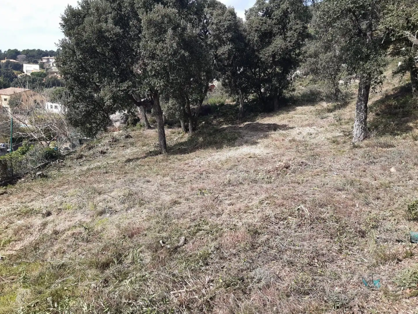 Terreno residenziale in vendita a SERRA LLONGA 50, imagen 11