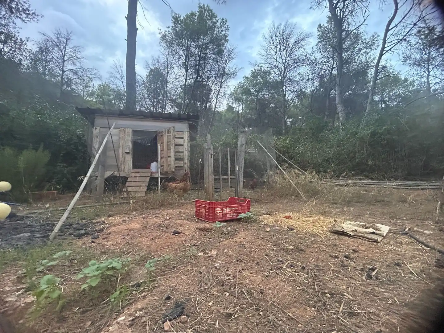 Casa amb piscina en venda a Albalat dels Tarongers, imagen 28