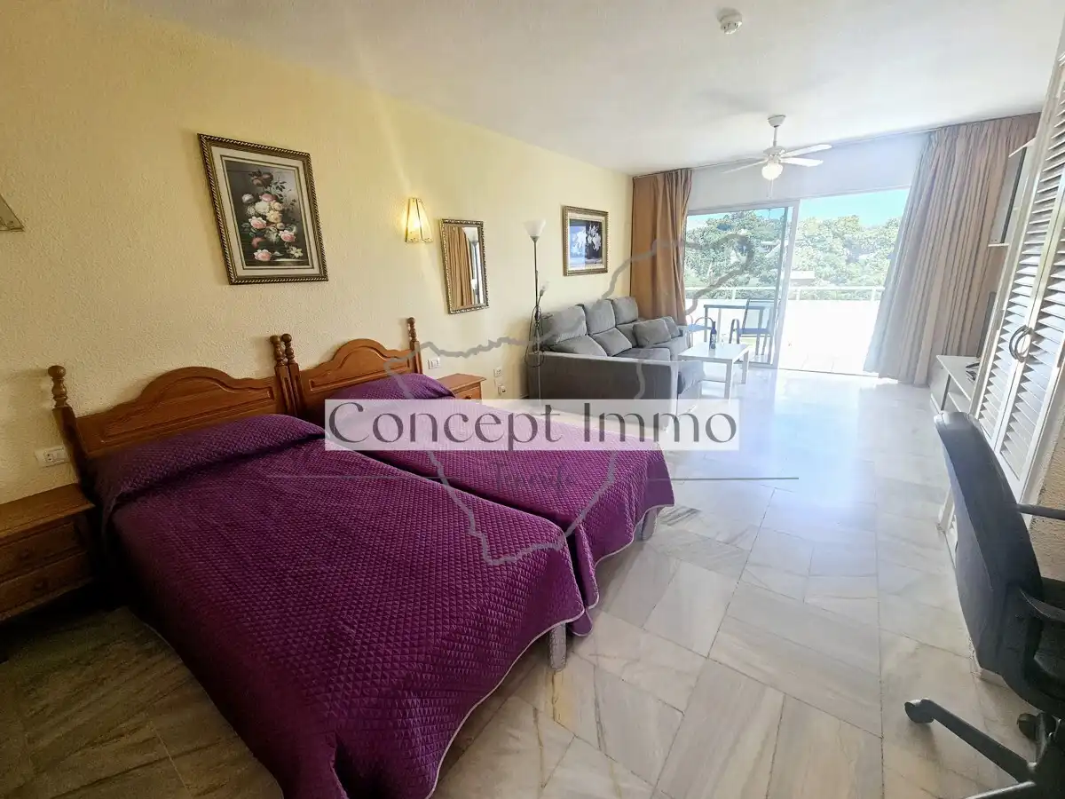 Monolocale con terrazza in vendita a Calle Finlandia, imagen 19