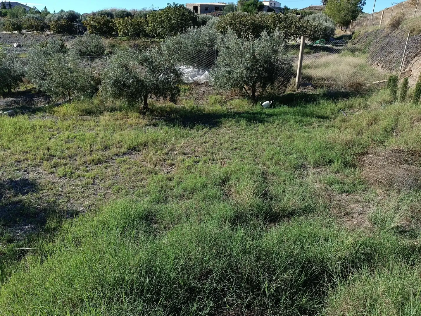 Terreno residenziale in vendita a Tébar - Los Arejos, imagen 13