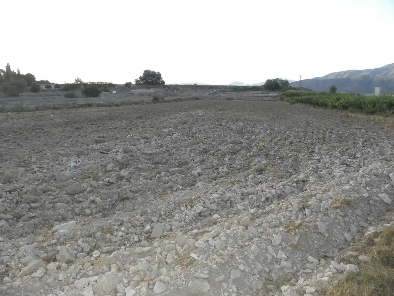 Residential land for sale in Caravaca de la Cruz, imagen 4