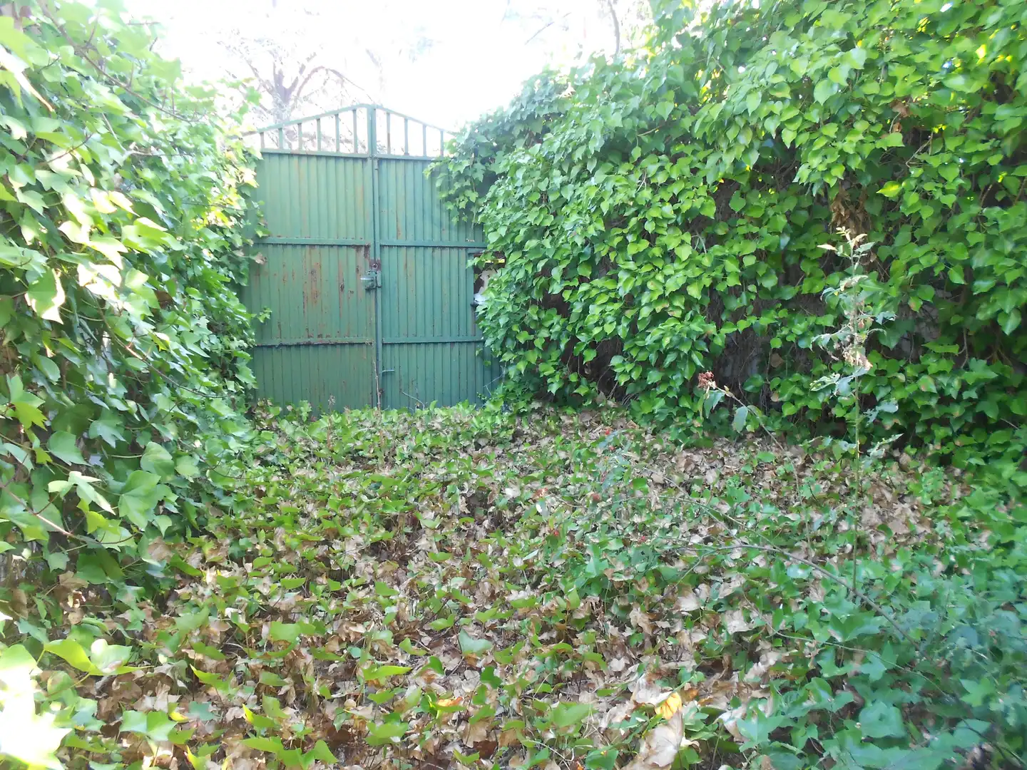 Jardí de Casa o xalet en venda en Valladolid amb Calefacció, Jardí privat i Terrassa
