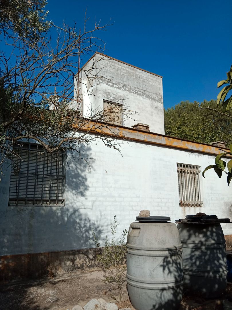 Exterior view of Land for sale in Utrera