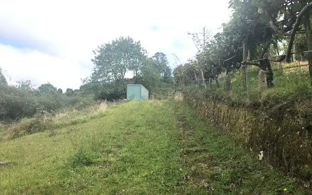 Terreno rustico in vendita a Camino DE LOS CIERROS-CALDONES, imagen 2