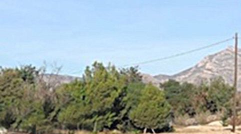 Foto 3 de Residencial en venta en Almajada - Ravel, Mutxamel