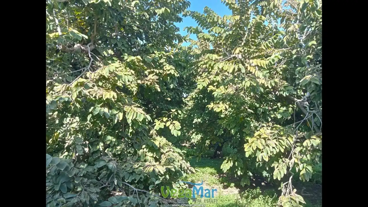 Residencial en venta en Almuñécar