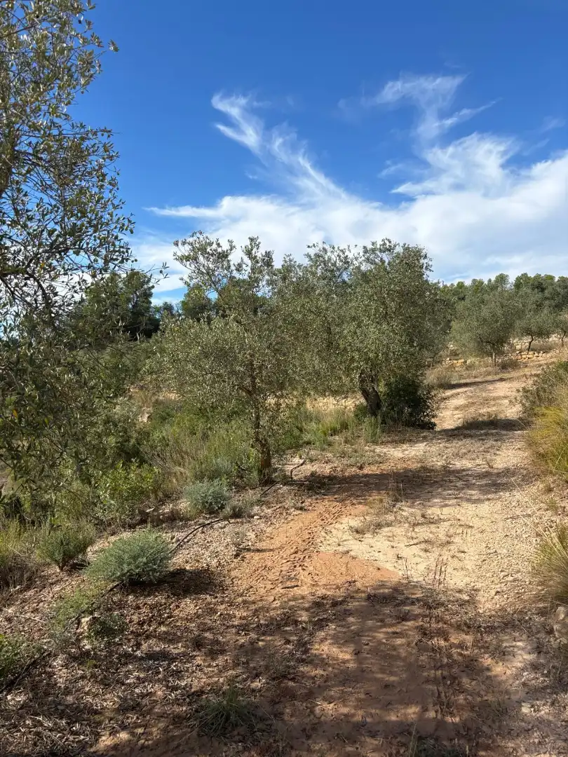 Terreno rustico in vendita a Carrer Sola, imagen 10