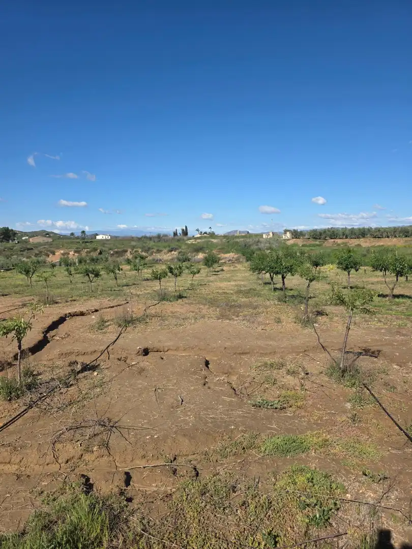 Detached house with garden for sale in Huércal-Overa, imagen 7