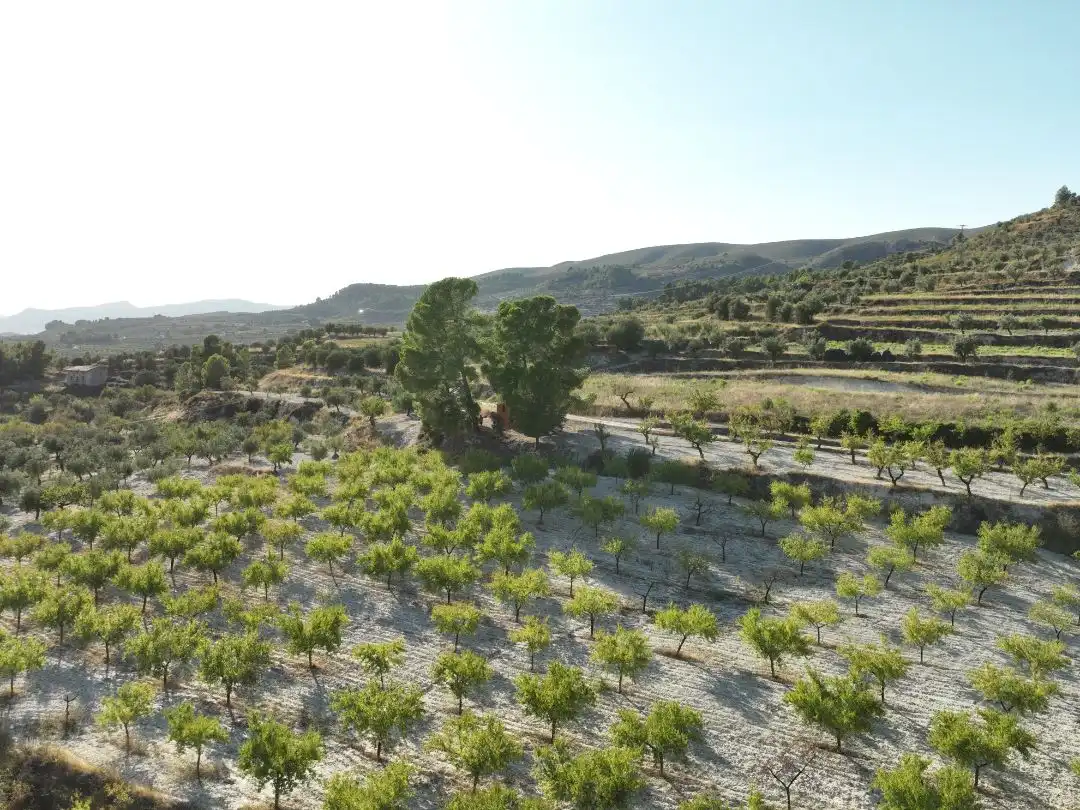 Terreno en venta en Balones
