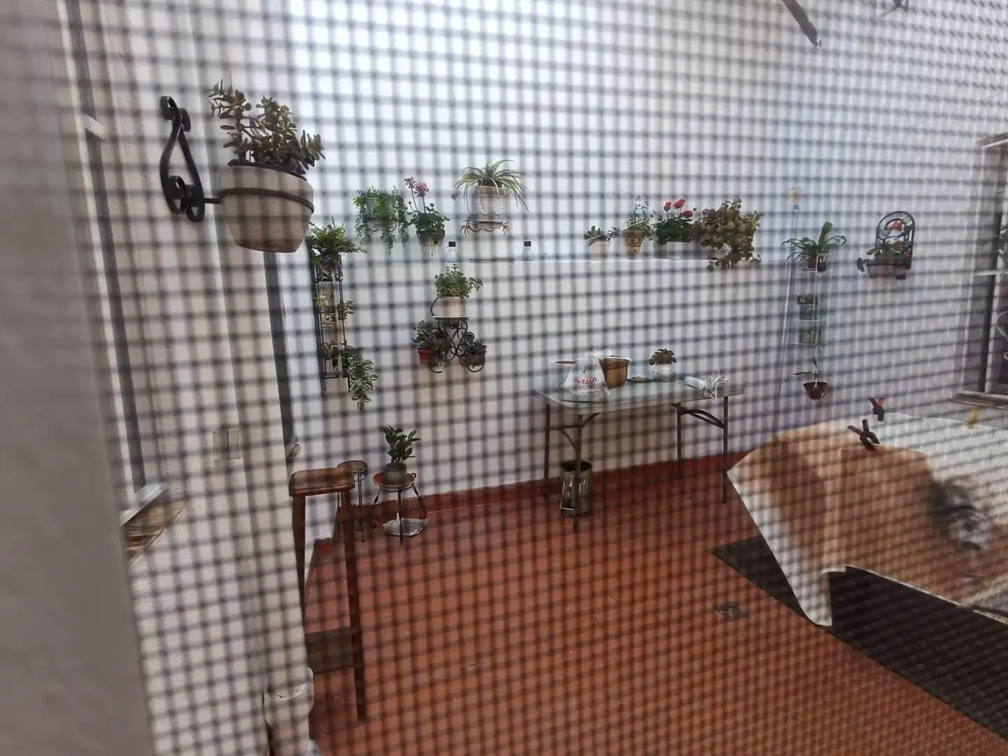 Terrassa de Casa o xalet en venda en Petrer amb Calefacció, Traster i Balcó