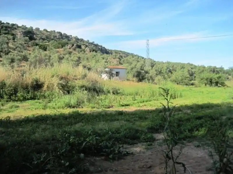 Terreni e lotti in vendita a Navas de San Juan, imagen 2