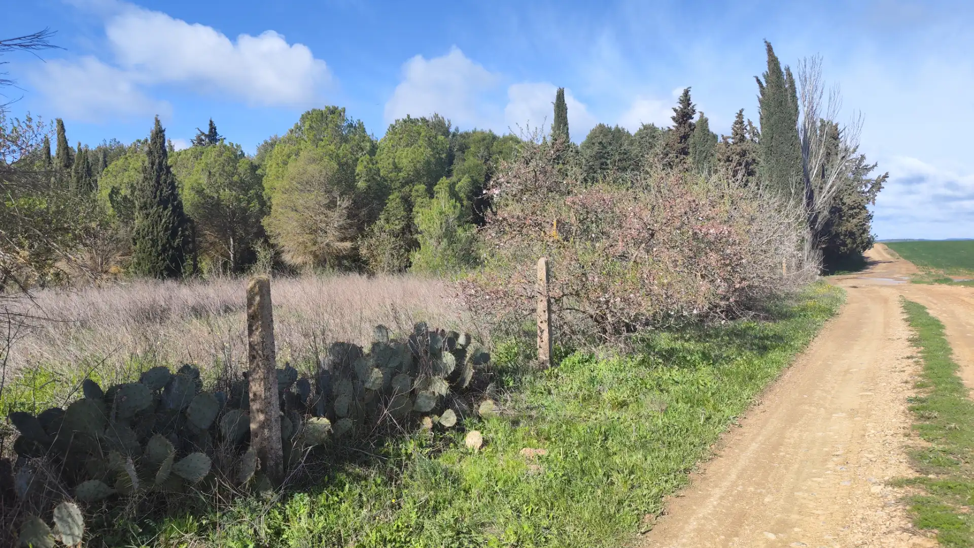 Terreni e lotti in vendita a Urbanización Viña del Romero 16, imagen 6
