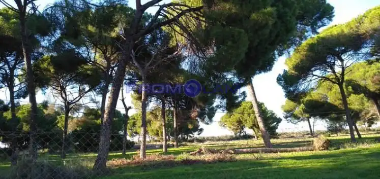 Terrenos y solares en venta en Calle Magnolia, imagen 4