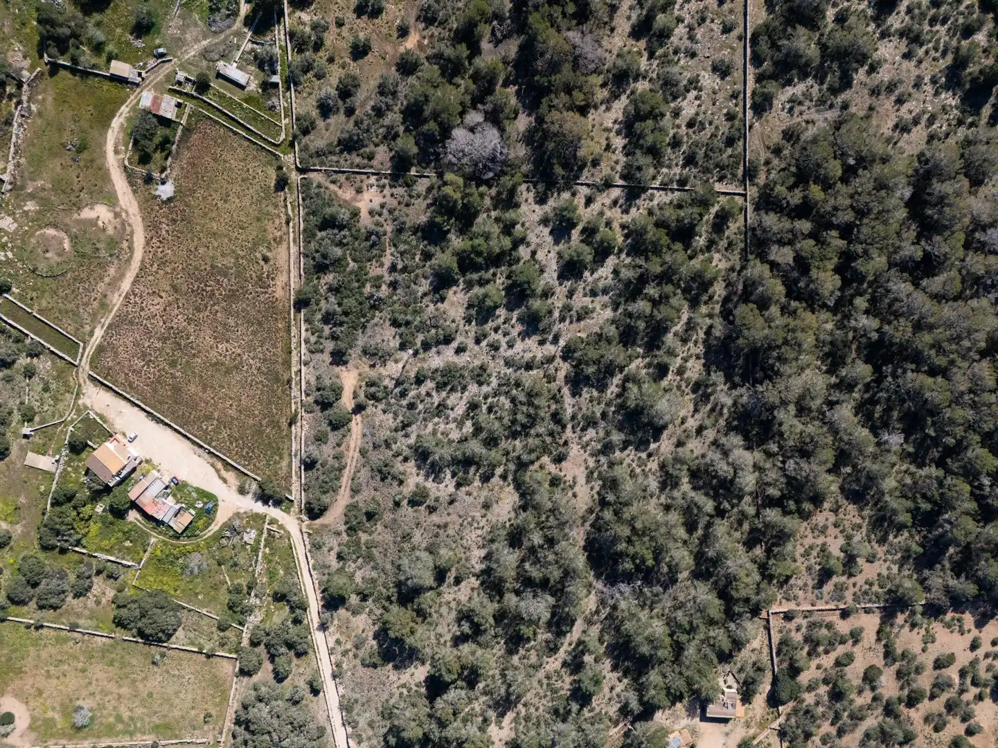 Terreno en venta en Formentera