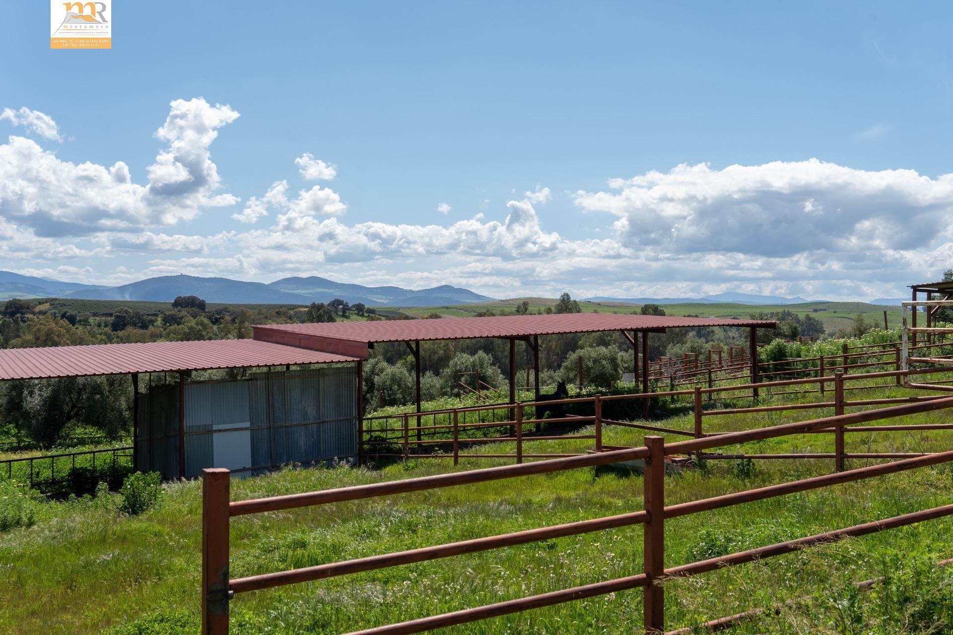 Vista exterior de Finca rústica en venda en  Cádiz Capital