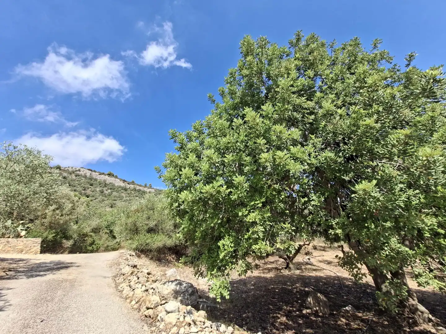 Terreno rustico in vendita a Partida del Mas d'en Civill, imagen 26