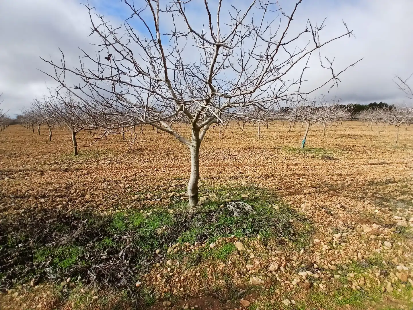 Rural land for sale in Carretera Solana, imagen 3