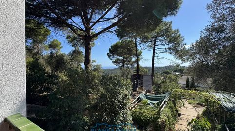 Foto 2 de Finca rústica en venda a Calle Mar Adriatic, Lloret Residencial - Montlloret, Lloret de Mar