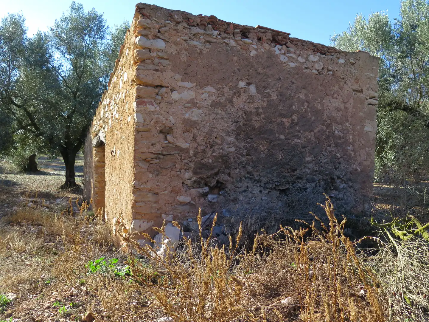 Rural land for sale in Godall, imagen 7