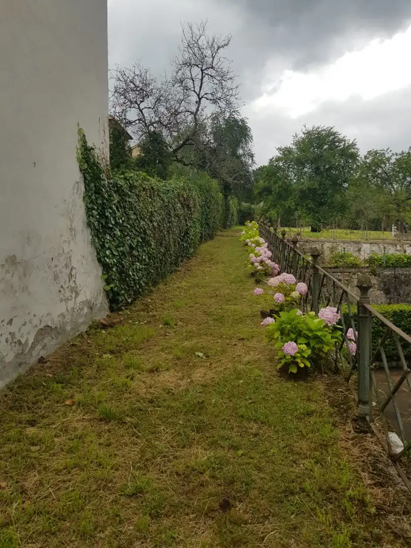 Maison à vendre à Grado, imagen 20