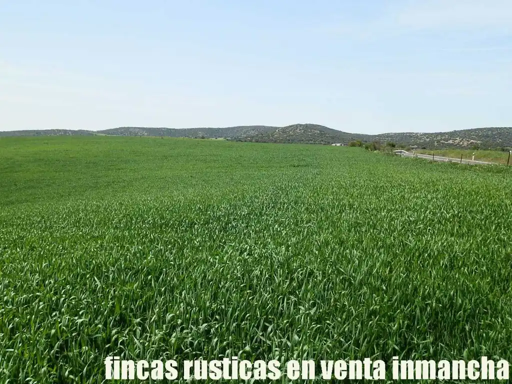 Terreno rustico in vendita a Centro - Plaza Mayor, imagen 14