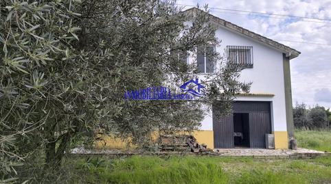 Foto 3 de Finca rústica en venda a Villarrubia, Córdoba