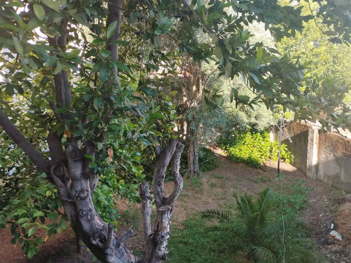Casa con giardino in vendita a carretera toledo avila 50, imagen 12