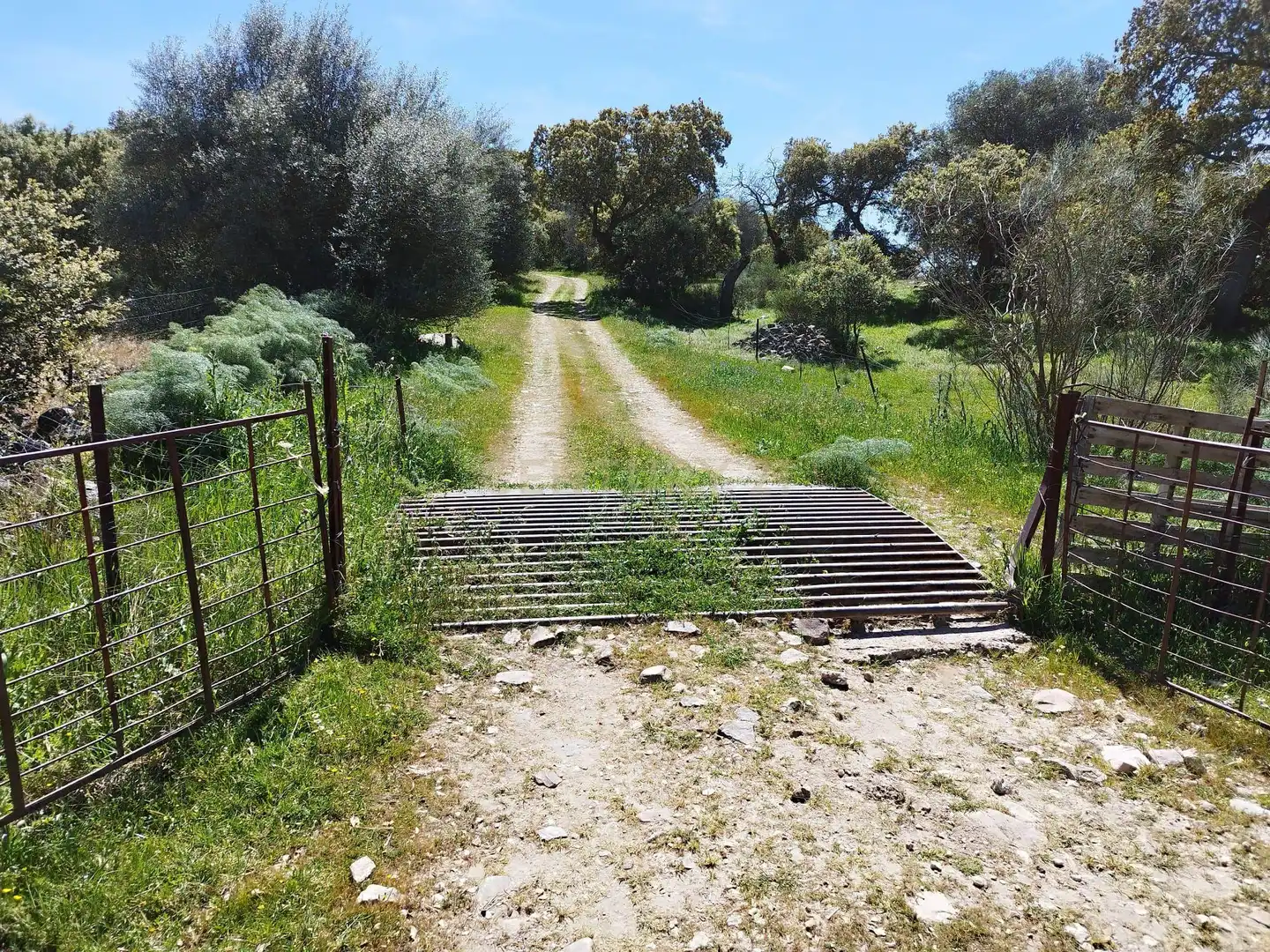 Terreni e lotti in vendita a 06430 Zalamea de la Serena, Spain, imagen 12