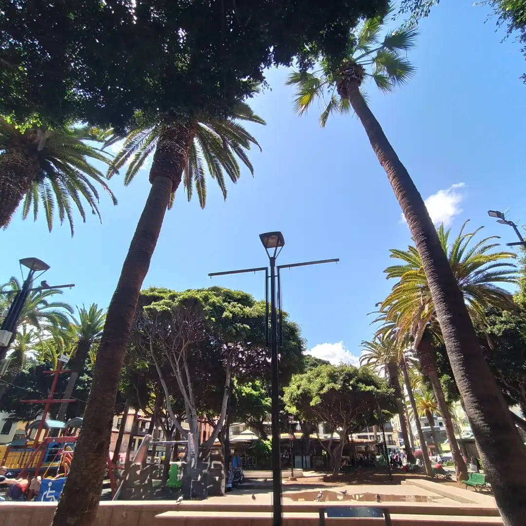 Büro zum Verkauf in Calle de la Marina, Playa Jardín
