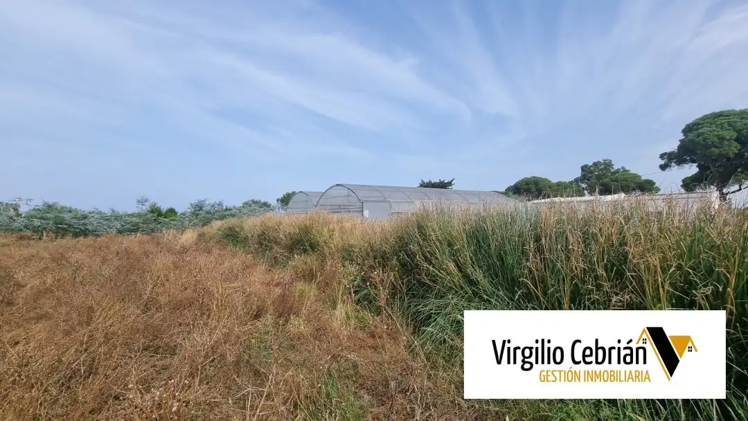 Casa rustica con giardino in vendita a Las Tres Piedras - Costa Ballena, imagen 3