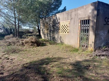 Terreno rustico in vendita a Almonte ciudad