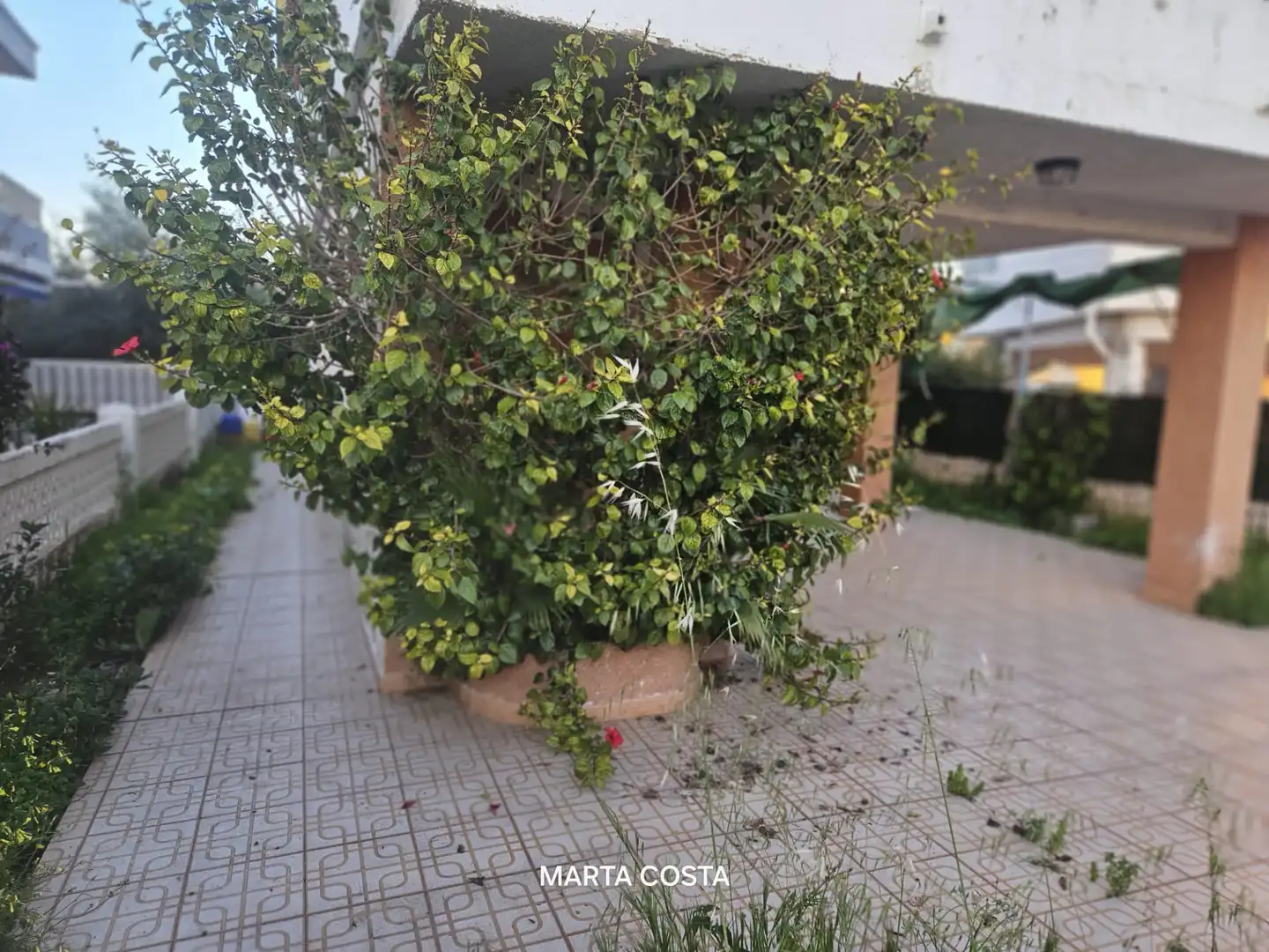 Jardín de Casa o chalet en venta en Daimús con Aire acondicionado, Calefacción y Jardín privado
