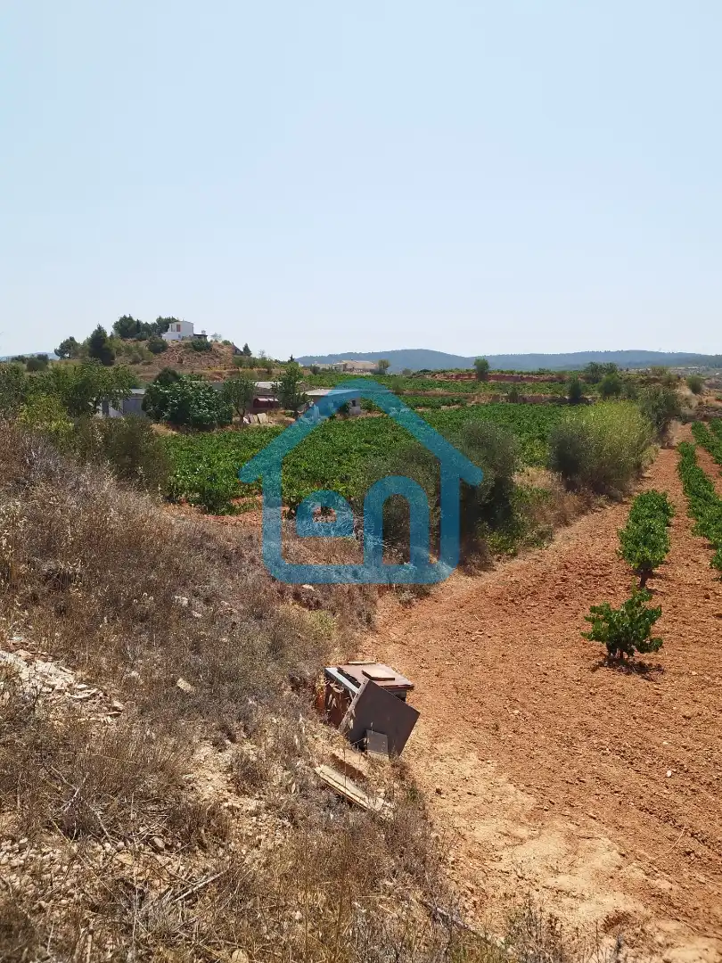 Terreno rustico in vendita a Requena, imagen 9