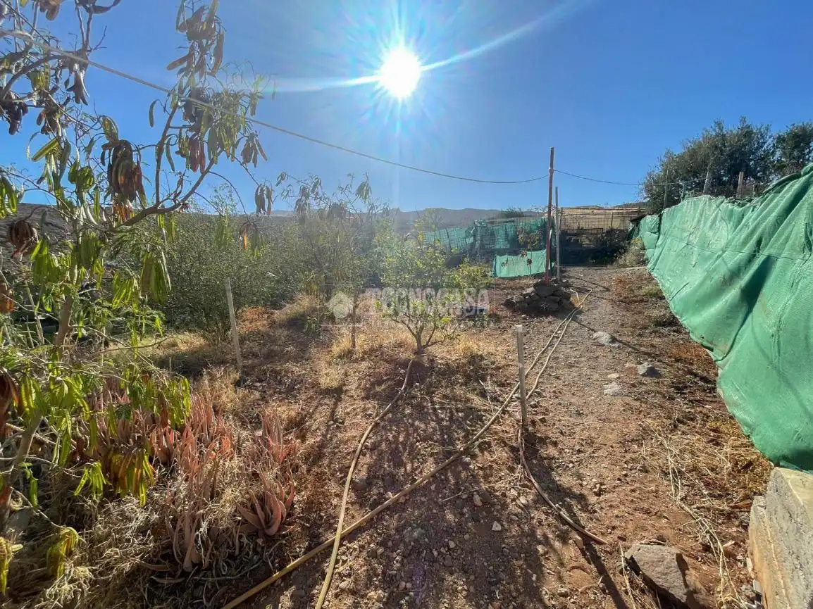 Finca rústica en venta en Ingenio