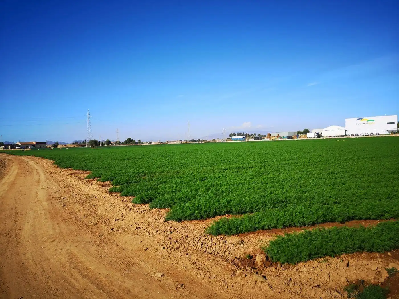 Finca rústica en venta en Cartagena