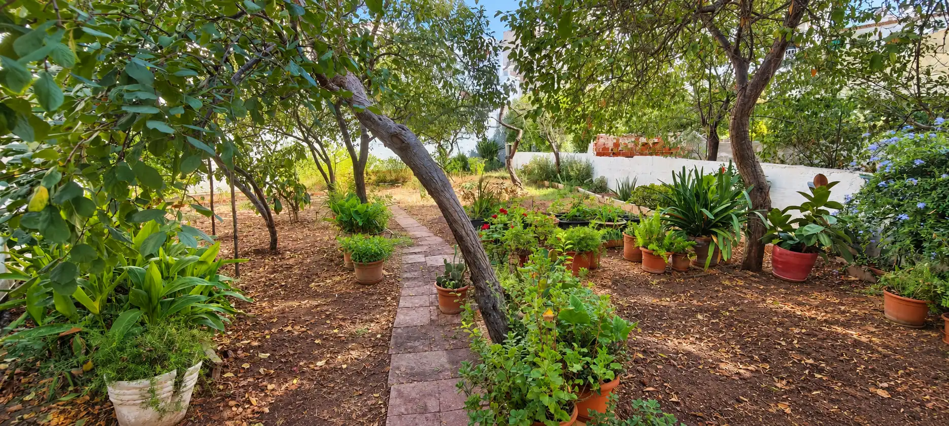 Casa amb jardí en venda a Fred, imagen 2