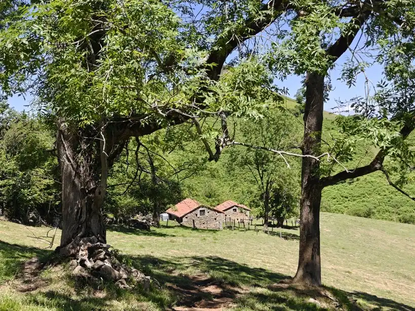 Terreno rustico in vendita a Proaza, imagen 2